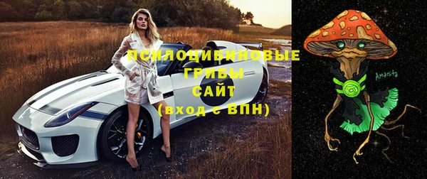 ешки Алзамай