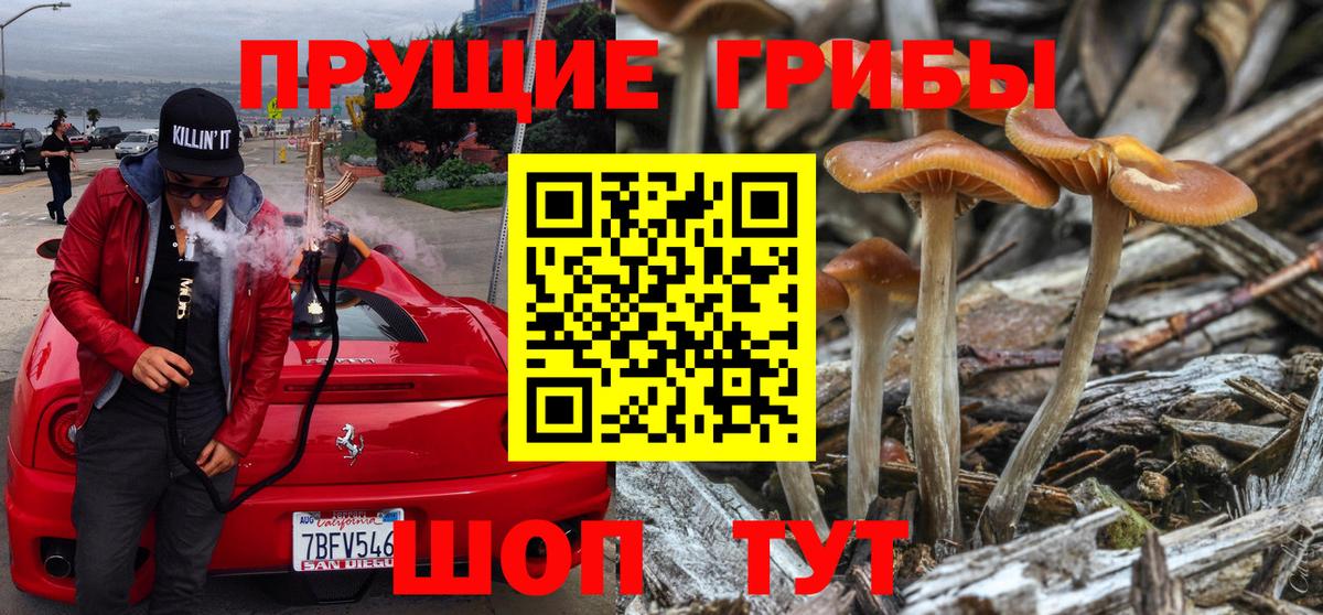 Красноуфимск  Галлюциногенные грибы Magic Shrooms  Вход с VPN 
